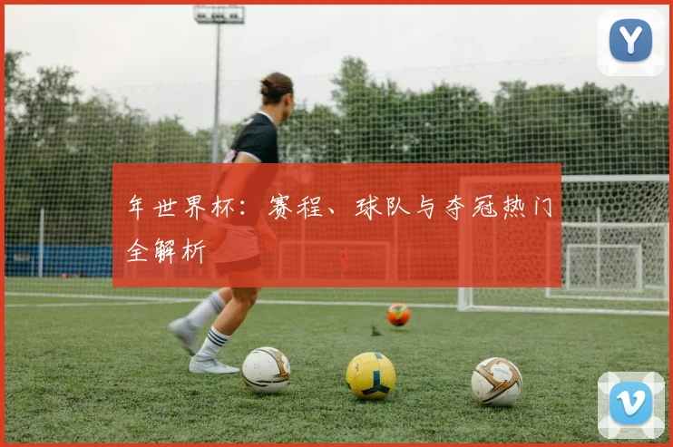 年世界杯:赛程、球队与夺冠热门全解析